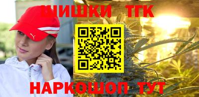 тгк Партизанск